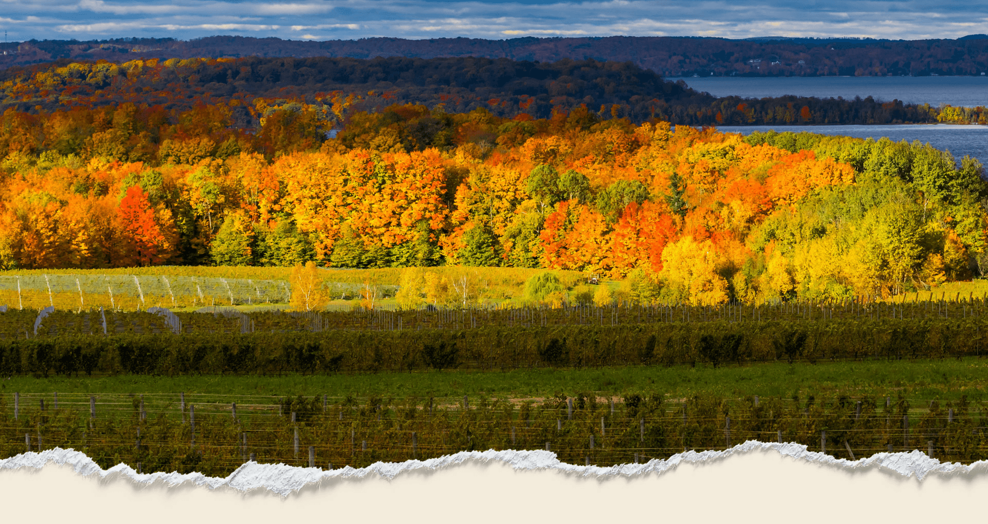 Autumn hillsides and orchards above Grand Traverse Bay